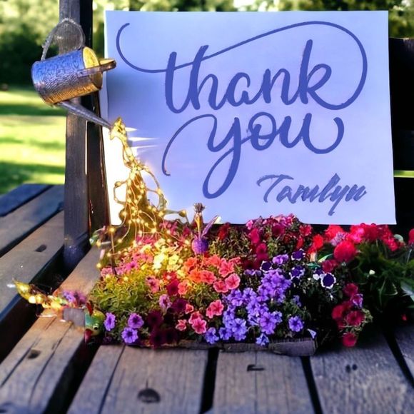 S🅾️LD l Simply Vera by Vera Wang Black Lace-up Leggings, Pants l EUC - Picture 7 of 8